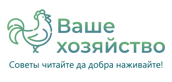 Ваше Хозяйство