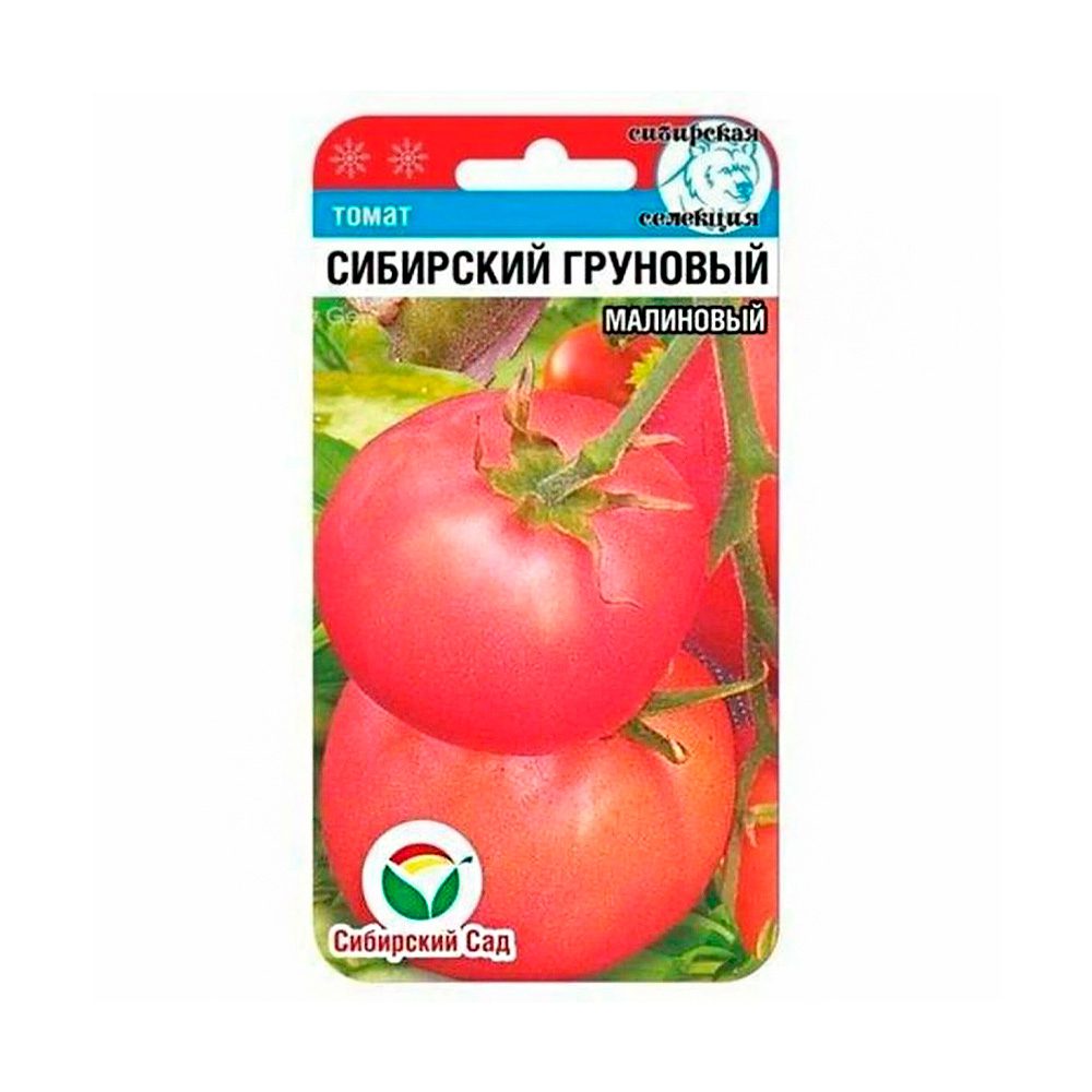 Томат Сибирский Грунтовой Малиновый